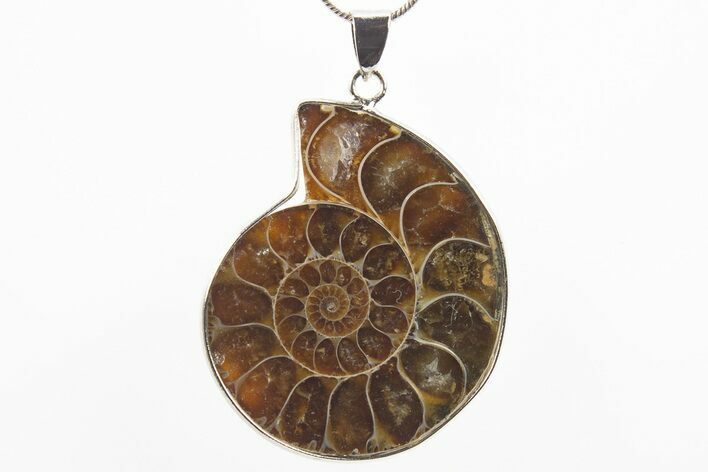 Fossil Ammonite Pendant - Million Years Old #306453